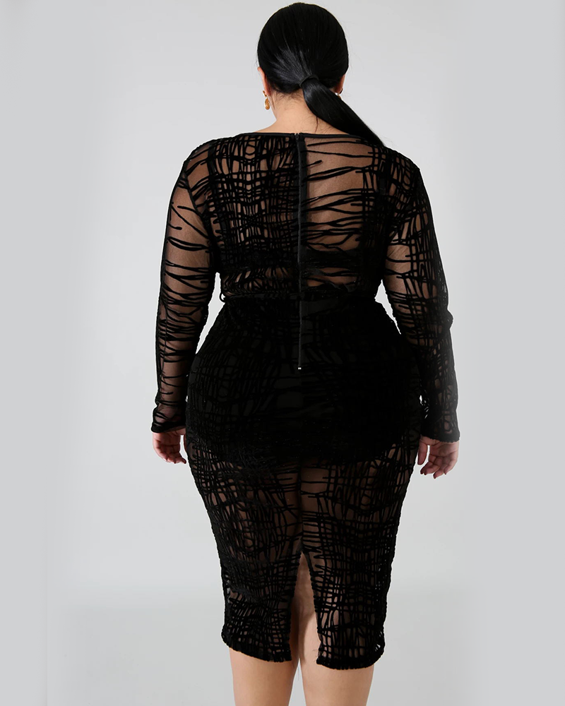 Sheer Bodycon Dress
