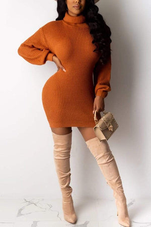 Sexy Slim Turtleneck Knit Sweater Dress