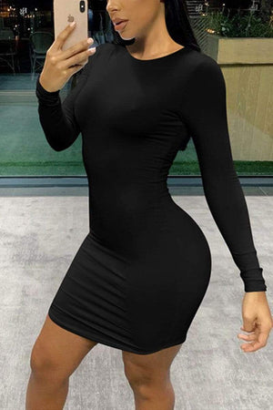 Sexy Round Neck Long Sleeve Dress