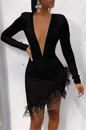 Sexy Feather Mesh Gauze Dress