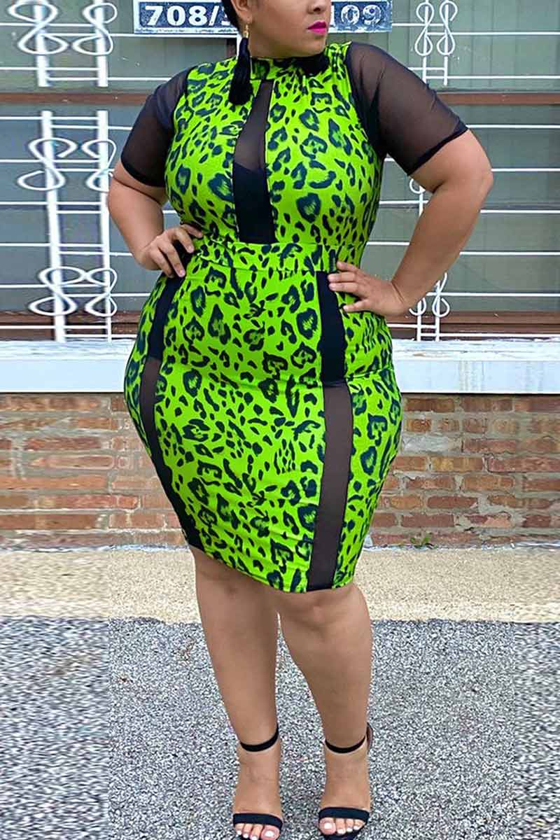 Fashion Leopard Print Plus Size Dress