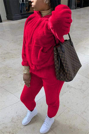 Casual Hooded Collar Solid Plus Size Set