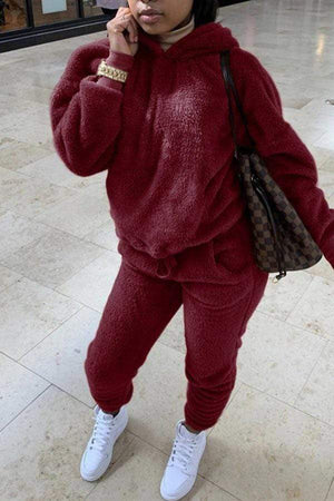 Casual Hooded Collar Solid Plus Size Set